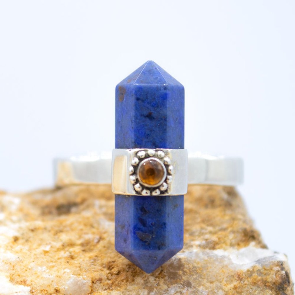 Pendulum blue owyhee opal and garnet ring size 8